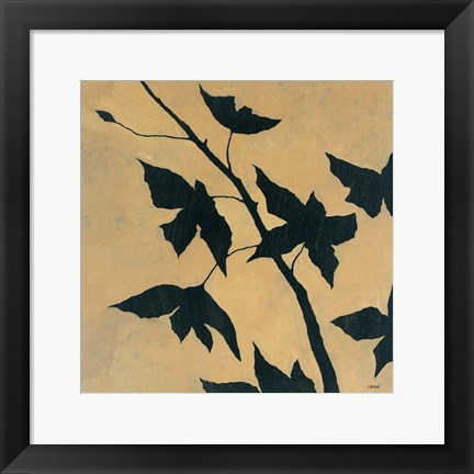 Framed Blossoms II Print