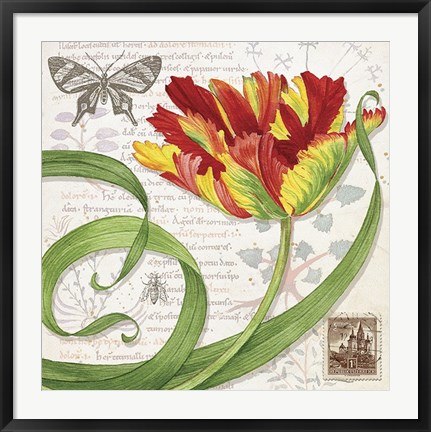 Framed Tulip I Print