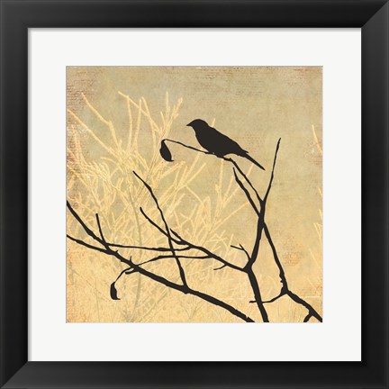 Framed Perched Print