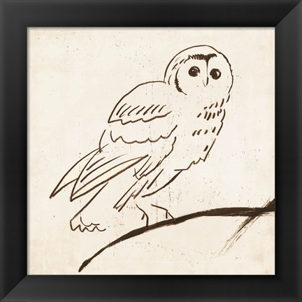 Framed Owl II Print