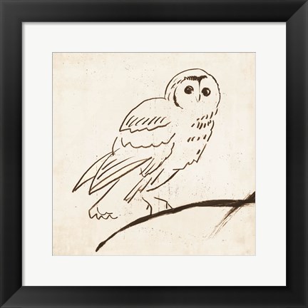 Framed Owl II Print