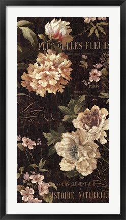 Framed Fleurs Antique II Print