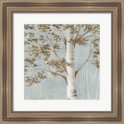 Framed Birch Study I Print