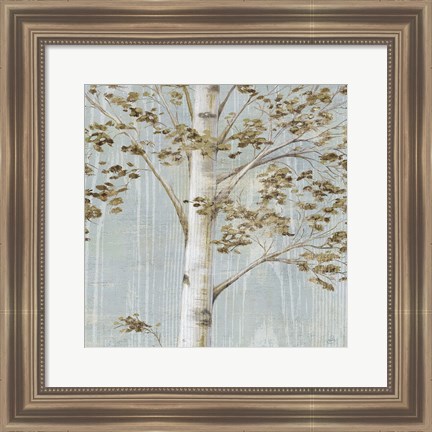 Framed Birch Study II Print