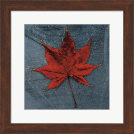 Framed Japanese Maple Print