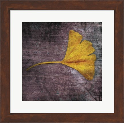 Framed Gingko 4 Print