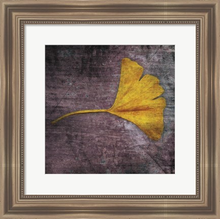 Framed Gingko 4 Print