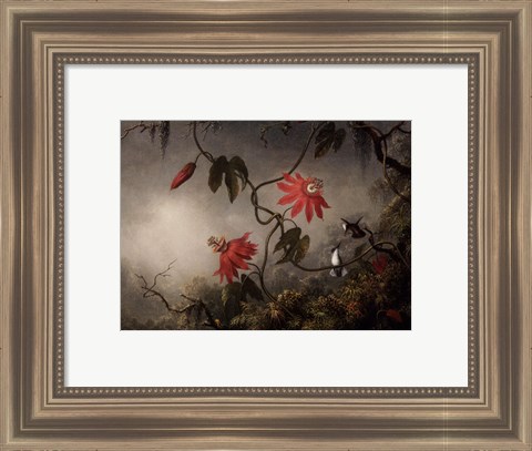 Framed Passion Flowers and Hummingbirds, about 1870-83 Print