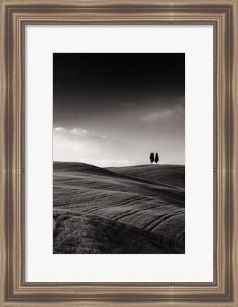 Framed Late Afternoon Sunset on Twin Cypresses Print
