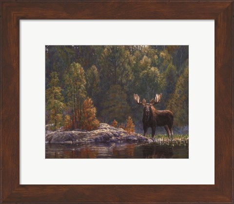 Framed North Country Moose Print