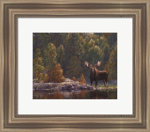 Framed North Country Moose Print