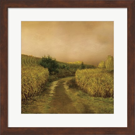 Framed Sunset Cornfield Print