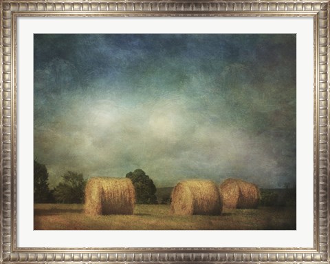 Framed Hay Rolls Print