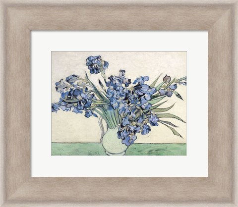 Framed Irises Print