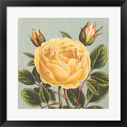 Framed Yellow Rose Print