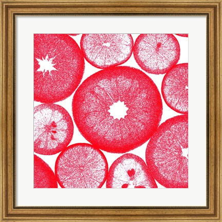 Framed Red Lemon Slices Print