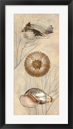 Framed Ocean Companions II Print