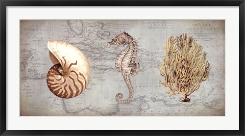 Framed Sea Treasures I Print