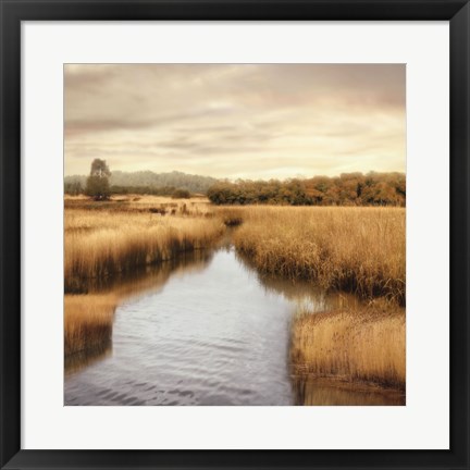 Framed Morning Calm I Print