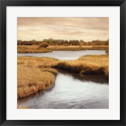 Framed Morning Calm II Print