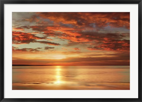 Framed Sunlit Print