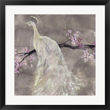 Framed Peacock Serenity II Print