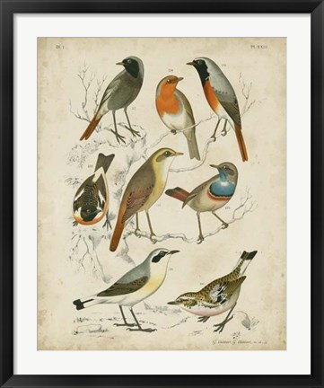 Framed Non-Embellished Avian Gathering I Print