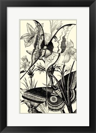 Framed B&amp;W Butterfly I Print