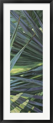 Framed Fan Palm II Print