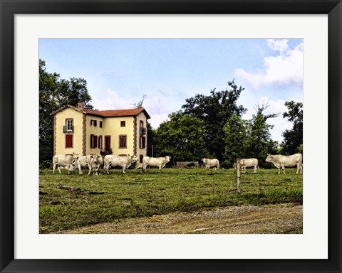 Framed Cow Palace Print