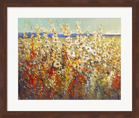 Framed Field of Spring Flowers II Print