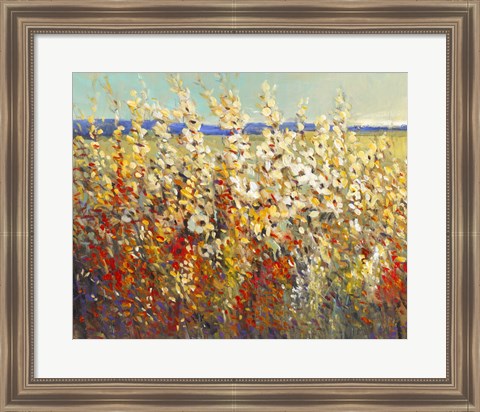 Framed Field of Spring Flowers II Print