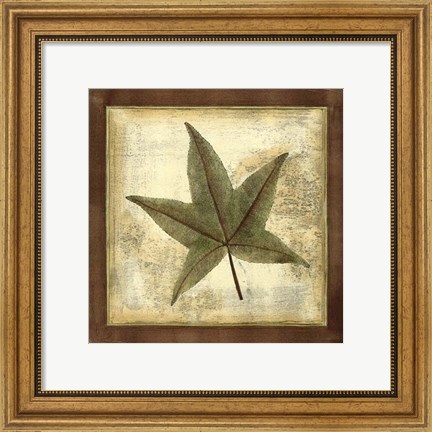 Framed Rustic Leaves II - No Crackle Print