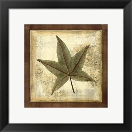 Framed Rustic Leaves II - No Crackle Print