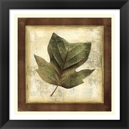 Framed Rustic Leaves III - No Crackle Print