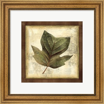 Framed Rustic Leaves III - No Crackle Print