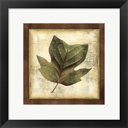 Framed Rustic Leaves III - No Crackle Print