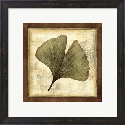 Framed Rustic Leaves IV - No Crackle Print