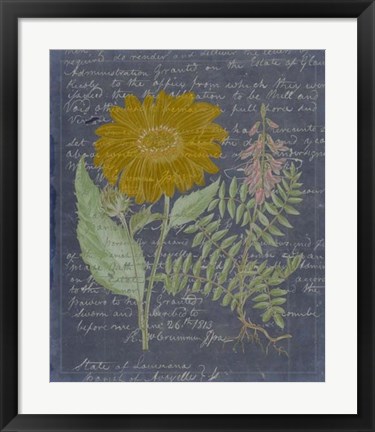 Framed Midnight Sonnet III Print