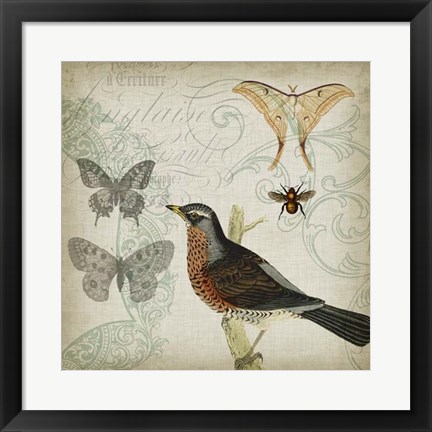 Framed Cartouche &amp; Wings II Print