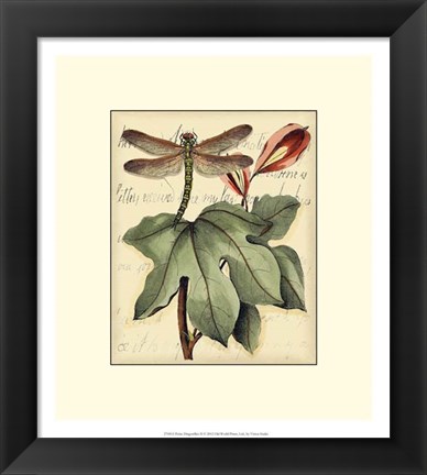 Framed Petite Dragonflies II Print