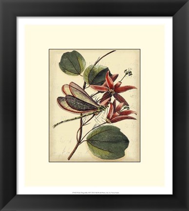 Framed Petite Dragonflies III Print