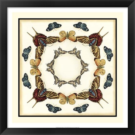 Framed Butterfly Collector I Print