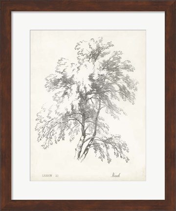 Framed Birch Tree Study Print