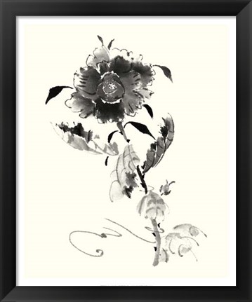 Framed Studies in Ink - Rose I Print