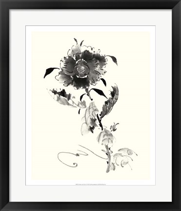 Framed Studies in Ink - Rose I Print