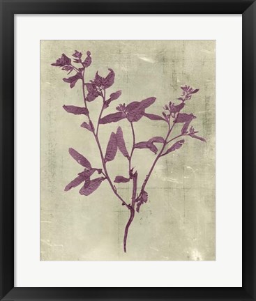 Framed Impressions in Plum Print