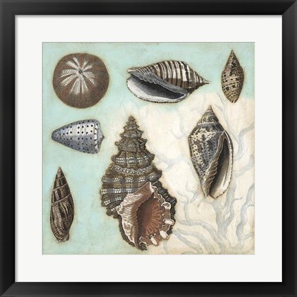 Framed Antique Shell Collage I Print