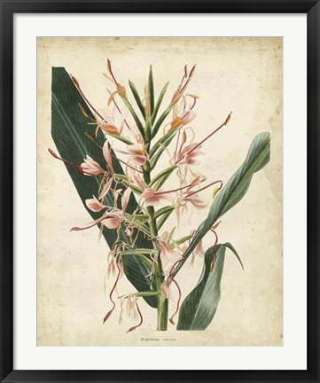 Framed Tropical Delight III Print