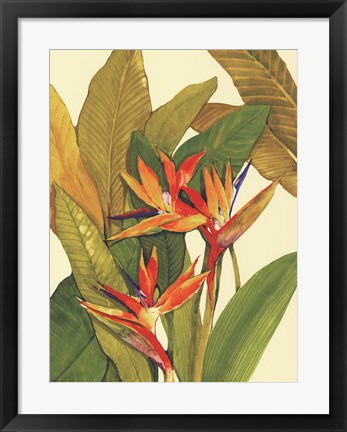 Framed Tropical Bird of Paradise Print